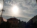 Třibřichy